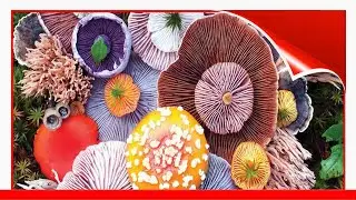 The Magical Beauty Of Mushrooms Captured By Jill Bliss In 42 Colorful Photos 🥰