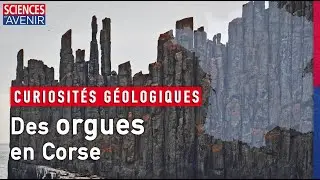 Corse : Scandola ou la curiosit&eacute; des orgues rouges