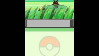 Pok&eacute;mon Soul Silver Randmized #1 - Machocke