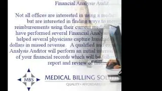 Professional Auditing Services