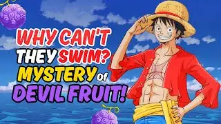 Devil Fruit Curse: The Swimming Paradox in One Piece Explained!