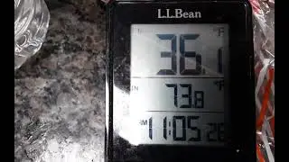 Cannabis and Hemp natural sprout in cool days and freezing nights 12 hours of darkness