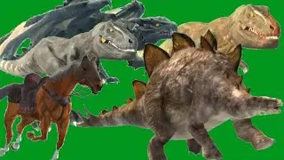 Dinosaurs vs Horse Rece Running HD Green Screen Blue Screen Black Screen Dinisaurs Animals Video