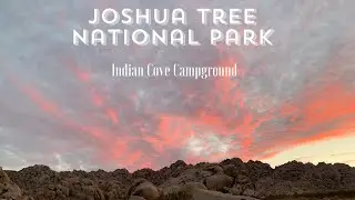 Joshua Tree National Park - Indian Cove Campground