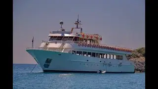 DAY CRUISER - Go 1282