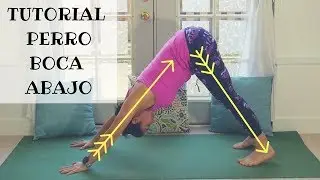 Tutorial Perro Boca Abajo para principiantes!