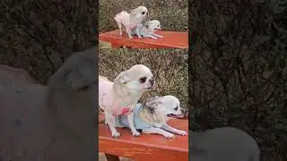 I am happy, you too, be happy