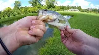 45 minutes to fish...KastKing Mela II Reel & Trapper hook