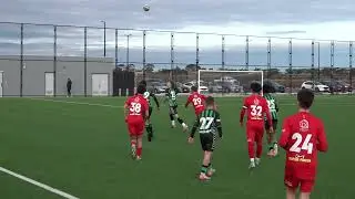 Western United v Essendon Royals (U14 NPL) 1st Half