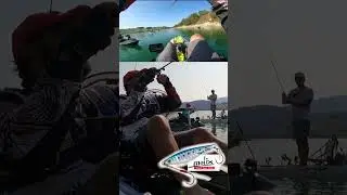 2 FISH WITH ONE CAST #fishing #perch #kayakfishing
