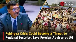 Rohingya Crisis Could Become a Threat to Regional Security, Says Foreign Advisor | Bangladesh News