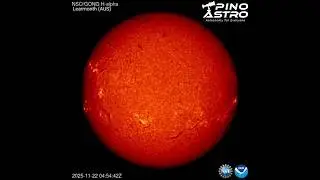 Солнце в H-альфа: 22 ноября 2025 г. #PinoAstro
