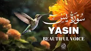 Surah Yasin (Yaseen) for Healing | Relieve Stress, Depression & Anxiety | سورة يس | #surahyaseen