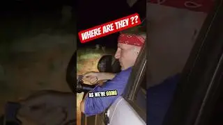 Hunting Kangaroo: Nighttime Outback Adventure