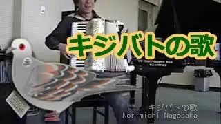 キジバトの歌 Turtle dove - Nori Nagasaka (Accordion)