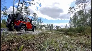 three lakes wma