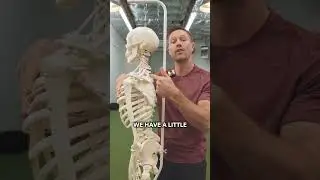 The Myth Of &ldquo;Thoracic Mobility&rdquo; - Stop Doing This! #mobility #posture #mobilitytraining