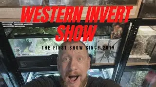 Western invert show 2021 #invertshow