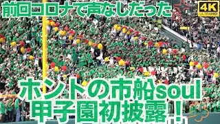 本来の「市船ソウル」甲子園デビューの日！早速甲子園の女神を味方に！堅守明豊高校がぽろりと 市立船橋応援アルプススタンドの盛り上がりと勝ちロコまで（千葉県高校野球応援2025）