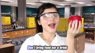 LAB CONDUCT - Dua Lipa 