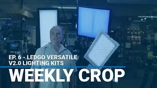 Светодиодные фонари LEDGO Versatile v2.0 &mdash; еженедельный урожай: Ep. 6