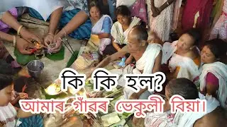 Bhekuli Biya//Frog Marriage Of Our Village//