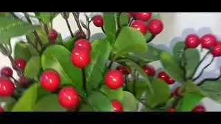 Hi fresh market in my kattappana