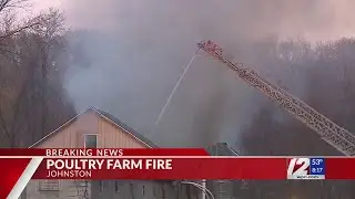 Around 3,000 chickens killed in Johnston poultry farm fire