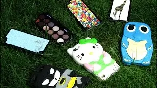 iPod Case Collection!