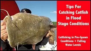 Catfishing in Flood Conditions - Catfish Tips for Floods - Catfishing in High Water