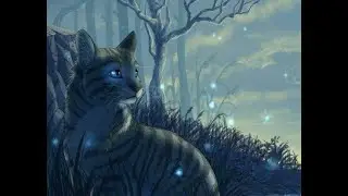 Die schönsten Namen|| Warrior Cats Videos