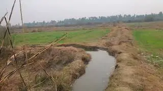 Village Life | Vlog