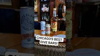 Chicago's BEST Dive Bars! #chicagodivebars #chicago #coreywagner #divebar