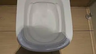 2015 Grohe Rimless toilet on a Grohe Auto Flush