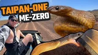 CLOSE CALL WITH THE WORLD'S MOST VENOMOUS SNAKE | INLAND TAIPAN, KING BROWN & MORE | OUTBACK QLD EP1