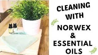 CLEANING  WITH ESSENTIAL OILS & NORWEX (2019) - KITCHEN COUNTERS
