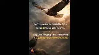 The Eagle Never Fights the Crow 🦅#EagleQuotes#TamilMotivation#EagleAttitude