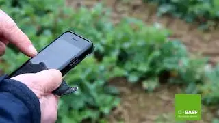 Liffey Mills Oilseed Rape Update March 2023