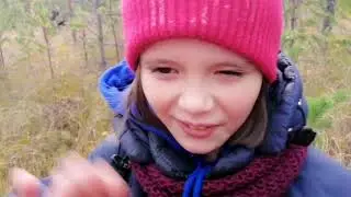 На болоте, за клюквой