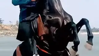 horse runing video | | horse race video  | | #shorts #animal #horse