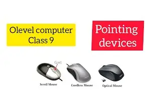 INPUT and OUTPUT devices | part 6 | pointing devices | o'level computer
