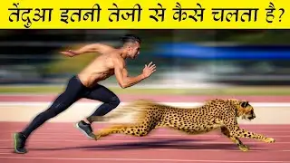 How does a Cheetah 🐆 run so fast ? Cheetah Hunting _ Dangerous animals 