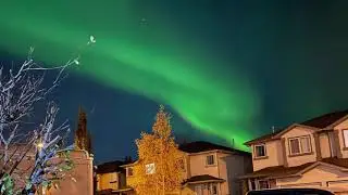 Northern lights: Spectacular aurora boreal is takes over Edmonton night sky