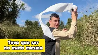 VIAJANDO PRA SÃO PAULO (01) - Fubá online