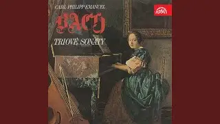 Trio for Flute, Violin and continuo in B flat major, Wq 161b - Allegro