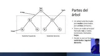 ABB Estructura de datos Tarea Final Christopher Diaz ZDEV2026