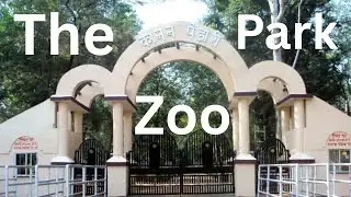 The zoo park vlog 