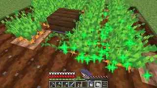 How to start a Carrot Farm with only one Carrot - Minecraft