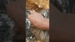 Electric Earth