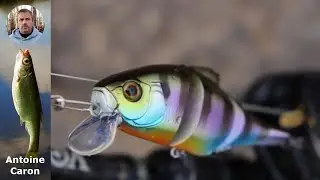 Test du Swing Mikey 72 : Le mini swimbait qui fait sensation sur l'eau !